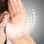 Alla scoperta dei 5 sensi: l’udito